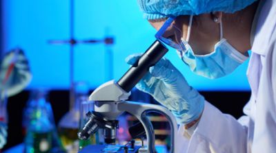 欢迎访问我们的官方网站